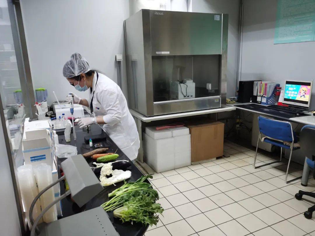 宣恩食品检测实验室装修方案